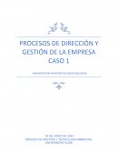 Procesos de dirección y gestión de la empresa