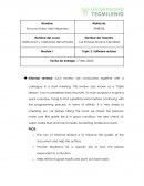 Verificación y validación del software. Software revision