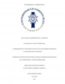 La promoción del consumo de sancayo en lima moderna mediante la creación de una infusión