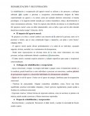 Rehabilitación y recuperación