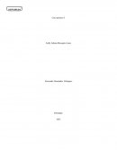 Caso práctico 3.Estrategias