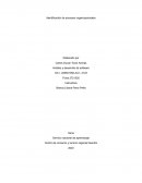 Identificación de procesos organizacionales