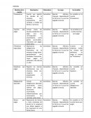 Catálago de cuentas