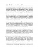 ¿Cómo identifican la oportunidad de negocio?