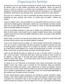 Organizacion familiar
