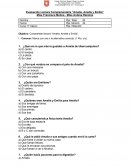 Evaluación libro " Amalia, Emilia y Amelia"