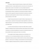 El auge de la producción bananera en Ecuador