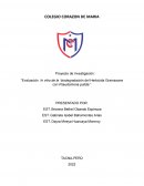 Evaluación In vitro de la biodegradación del Herbicida Gramaxone con Pseudomona putida