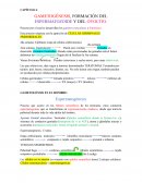 Gametogénesis, formación del espermatozoide y del ovocito