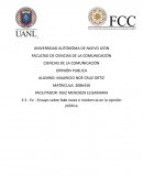 Ensayo sobre fake news e incidencia en la opinión pública