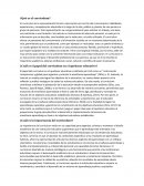 ¿Qué es el curriculum?