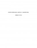 Gestión empresarial agrícola y agroindustria