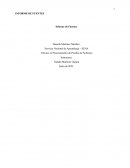 Informe fuentes