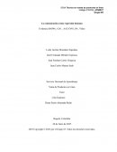 La comunicación como expresión humana