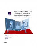 Productos Bancarios y su función de acuerdo al tamaño de la empresa