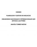 Organismos nacionales e internacionales que apoyan a las PYMES