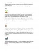 Factores de producción