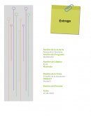 Filosofía de la educacion