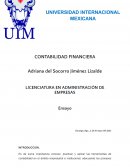 Ensayo de contabilidad