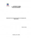 Optimización de la producción lechera en la Agropecuaria Agua Bendita