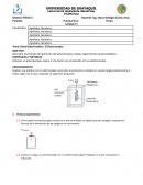 Práctica Física II