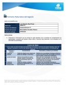 Formato: Naturaleza del negocio