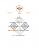 Caso “Equilibrio de mercado y elasticidad”