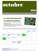 La vida es similar a un rompecabezas