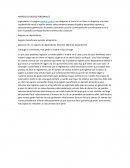 Anexos de gastos personales