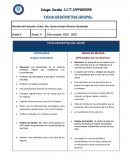 Ficha descriptiva del grupo