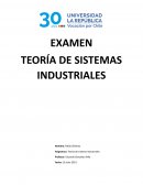 Teoría de sistema industriales