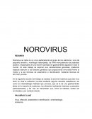 Norovirus