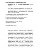 La organización de la teoria organizacional