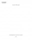 Caso Práctico FEMSA