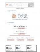Procedimiento de auditorias año 2022