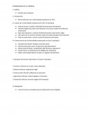 Informalidad de la empresa