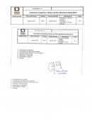 Instructivo Inspección Técnica de Obra Mecánica/Piping REV4