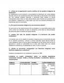 ¿Cómo es la organización social y política de los pueblos indígenas de Venezuela?