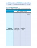 Auditoría de seguridad. Plan de auditoría técnica de seguridad