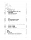 La teoría de plasticidad