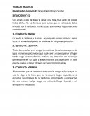 Trabajo práctico conductas