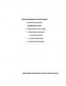 Seleccionadora automatizada