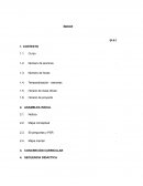 Proyecto interdisciplinar