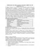 Plan de adecuación y manejo ambiental