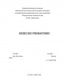 Derecho probatorio