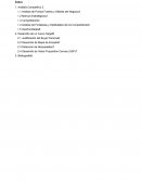 Análisis de Puntos Fuertes y Débiles del Negocio