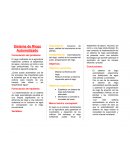 Sistema de Riego Automatizado