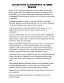 Conociendo compañeros de otra región