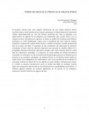 Análisis del efecto de la inflación en la industria chilena