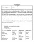 Programa analítico Nivel primaria
